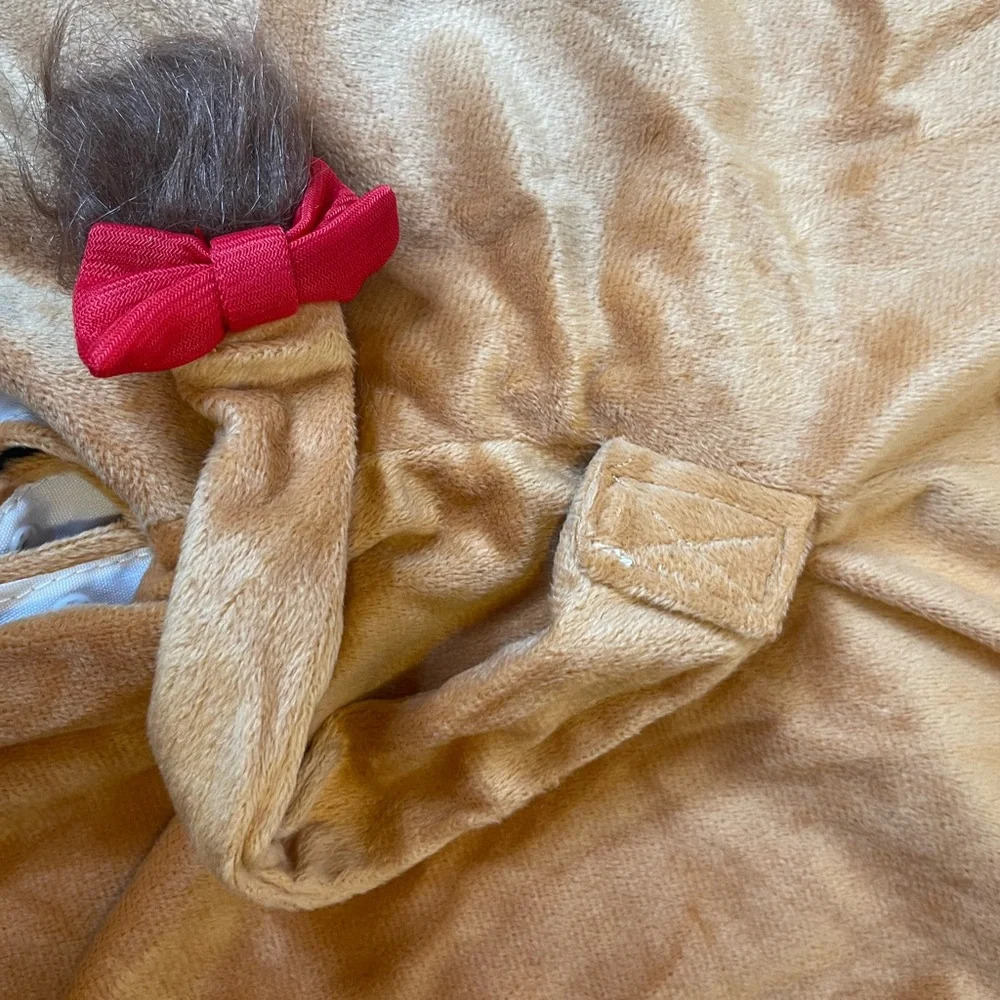 Adorable Lion Costume for Kids